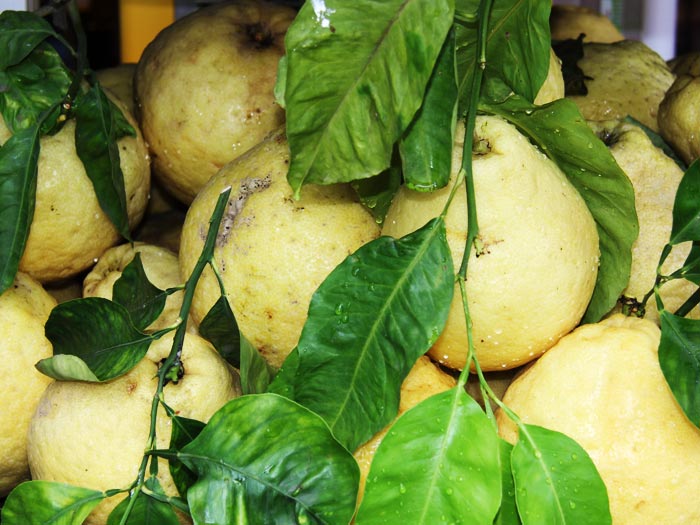 Полезные ссылки для самостоятельного путешествия в Италию